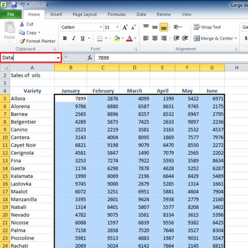 Insert a name for the data range