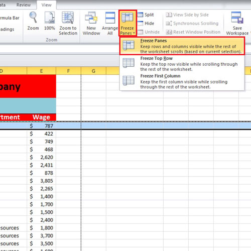 How To Freeze Panes And Split Cell Data Into Multiple Cells In Excel 2010 Howtech 9260