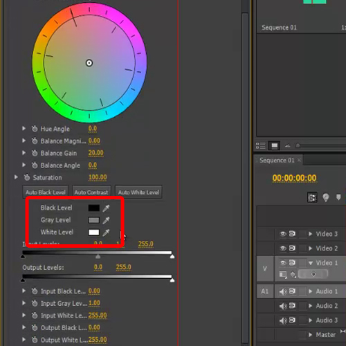 Set input levels