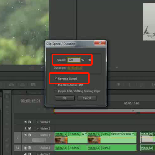 How to playback the video reverse in Adobe Premiere Pro ...