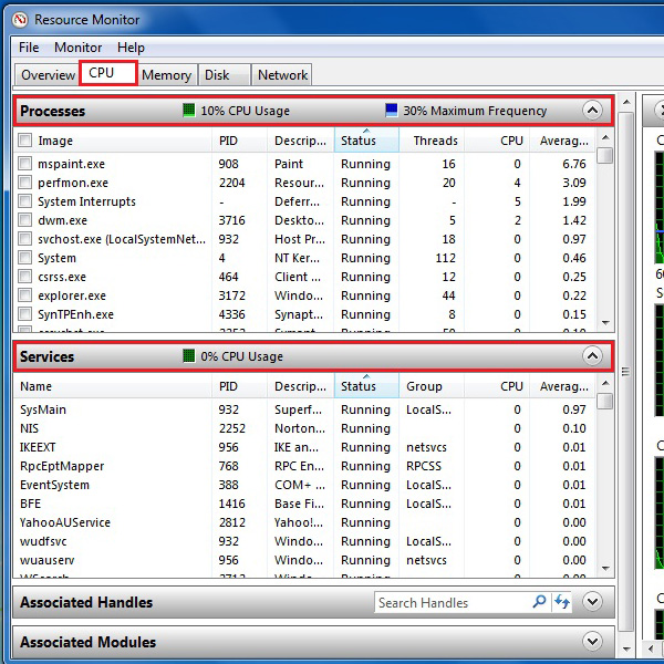 monit example cpu usage