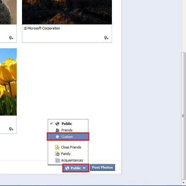 facebook private albums viewer online