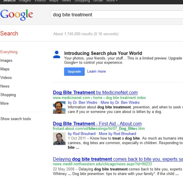 Search Results displayed in a Web Browser