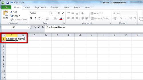 Entering data in cell A1